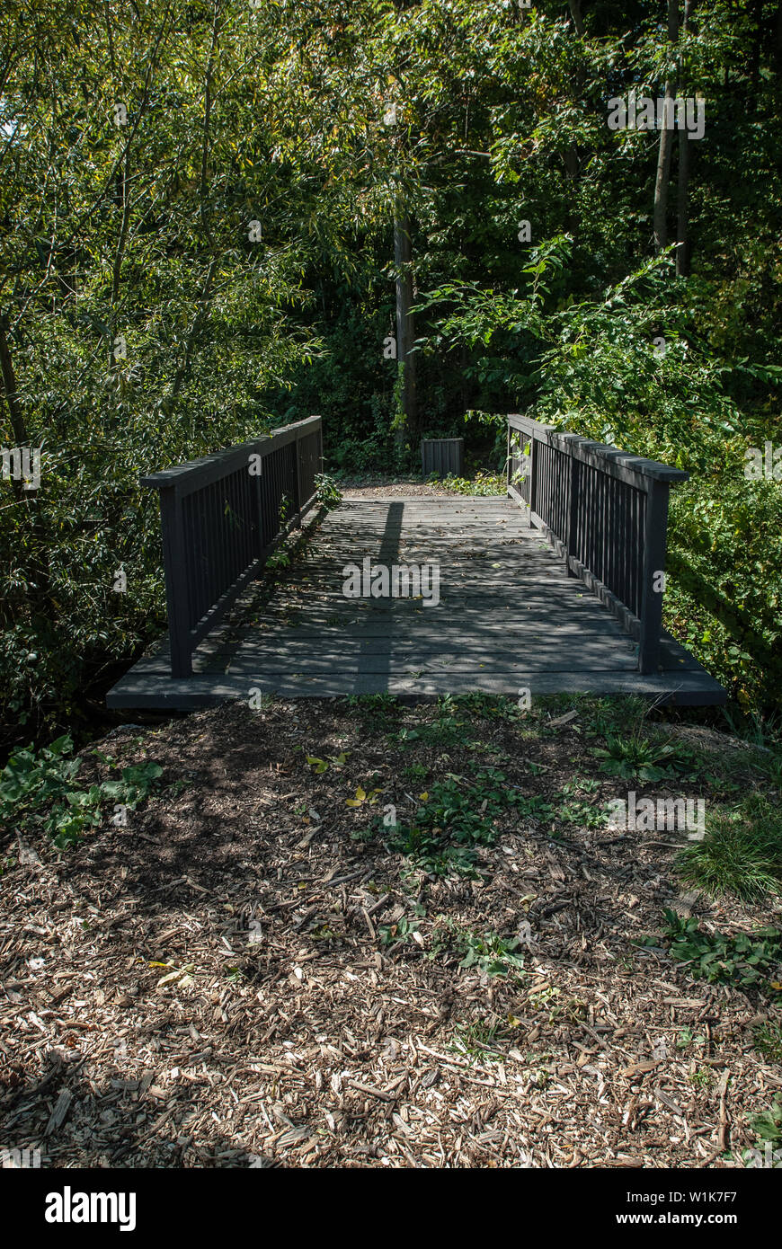 This is the second of three bridges over McCraney Creek on the grounds of Appleby College in Oakville, Ontario Canada Stock Photo