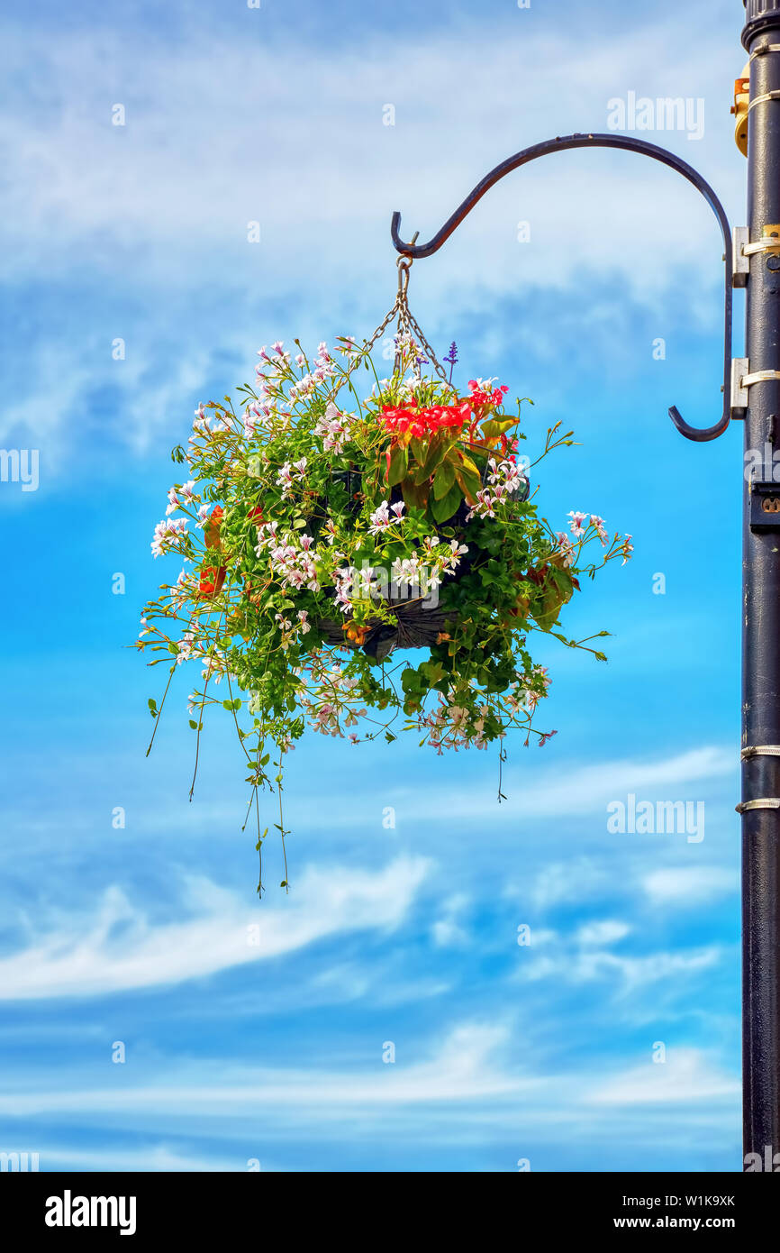 Flower basket hanging from a street lamp post against a blue sky background with clouds Stock Photo