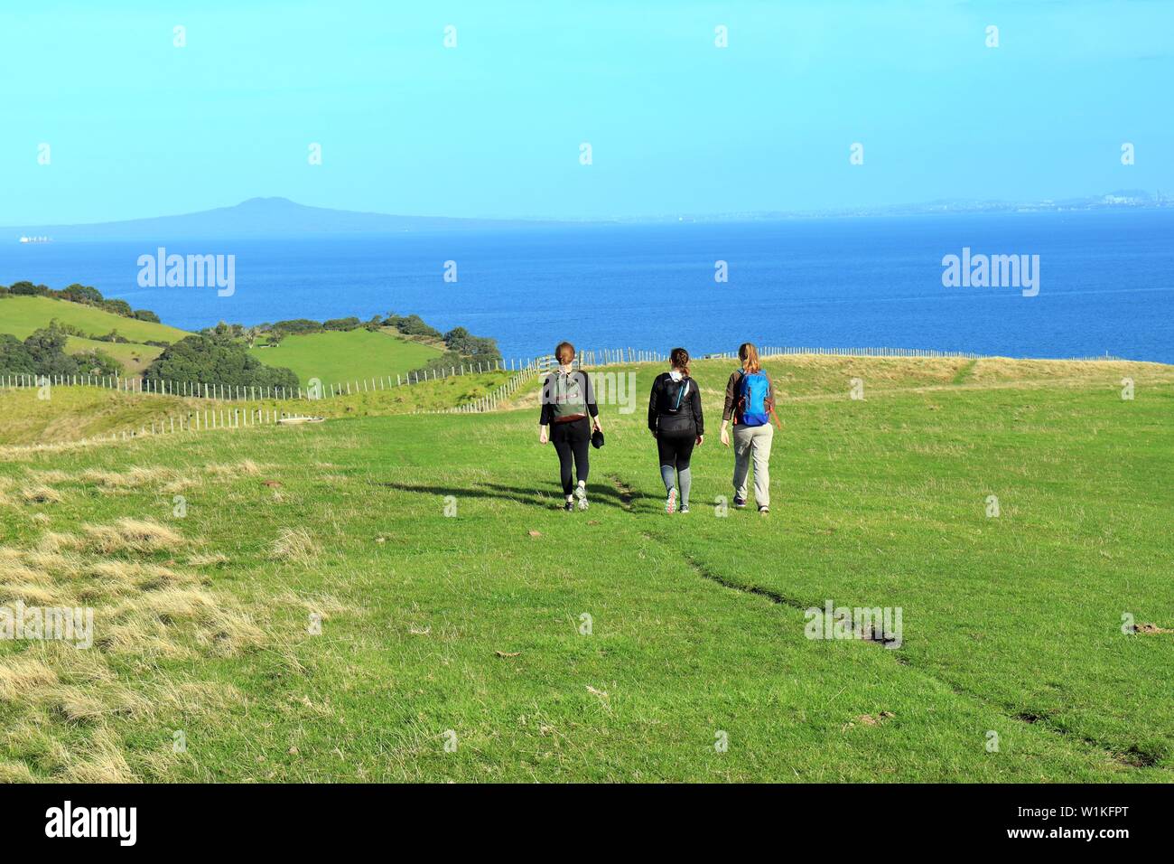A group of young three girls wandering in New Zealand Stock Photo