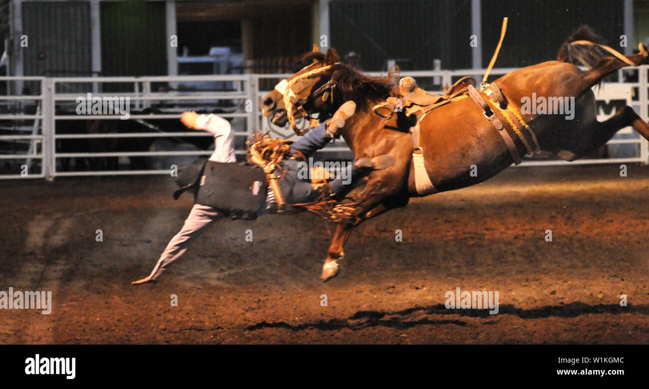 A cowboy goes for a wild ride flying off a bustin' bronco at the Utah State Fair. (c) 2010 Tom Kelly Stock Photo
