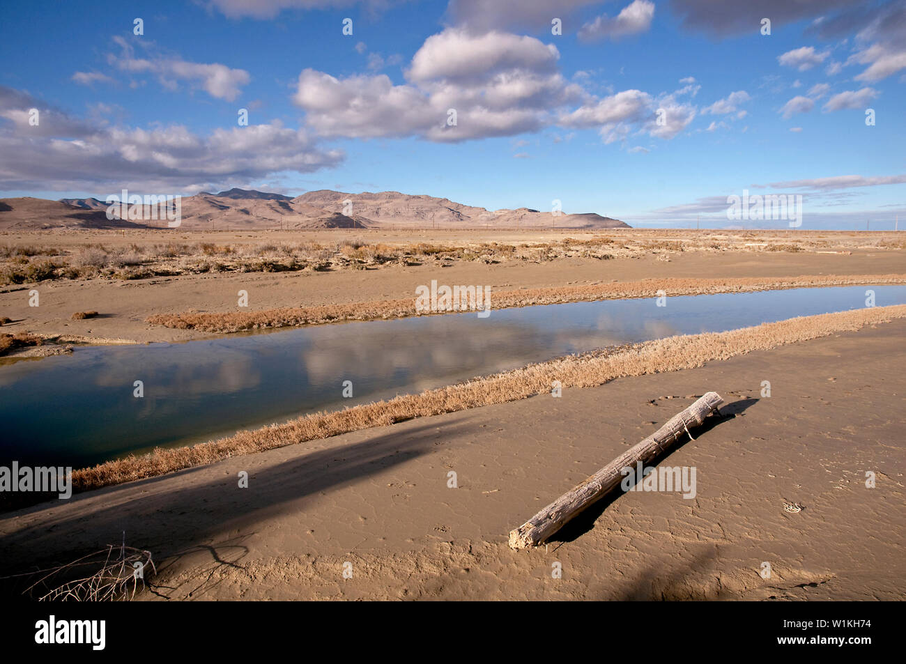 Arare stream winds through Utah's West Desert with dry mud caked along its shoreline and puffy clouds high above a nearby mountain range, west of Salt Stock Photo