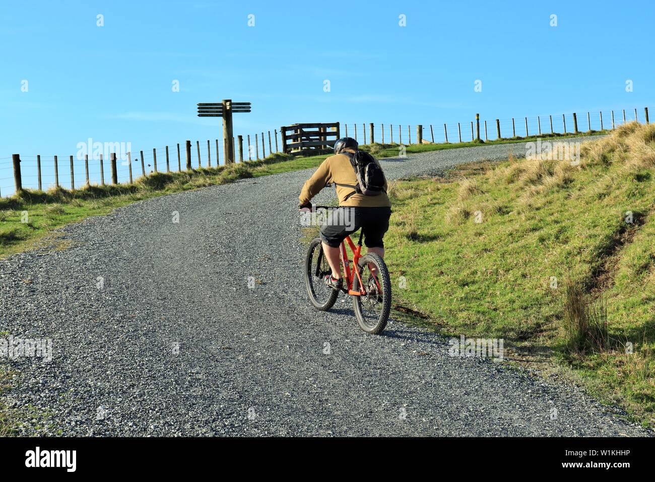 A senior citizen riding a bicycle on sunny day in New Zealand Stock Photo