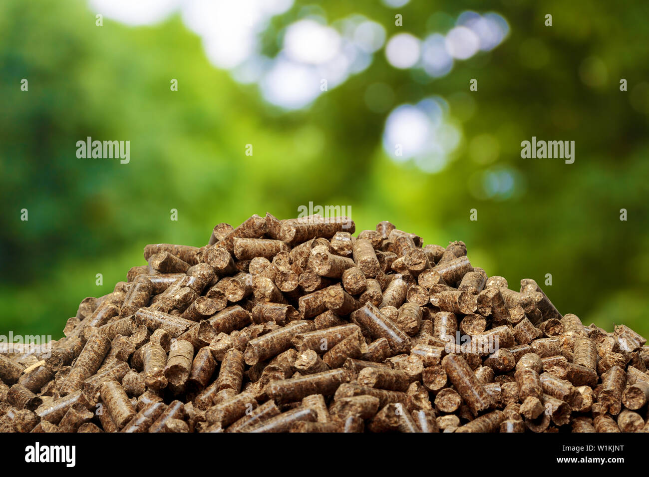 Wood pellets on a green background. Biofuels. Stock Photo