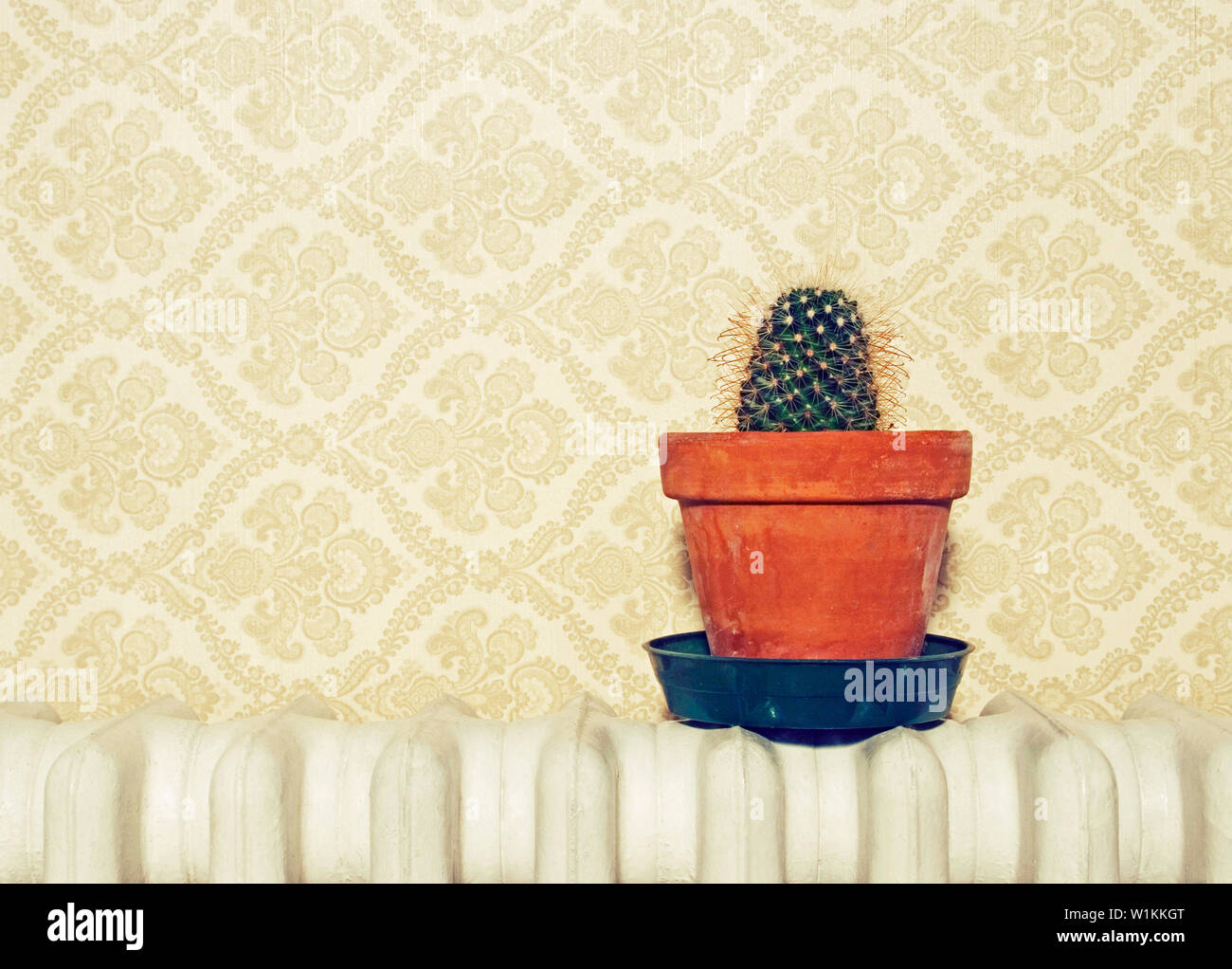 Plant heater hi-res stock photography and images - Alamy