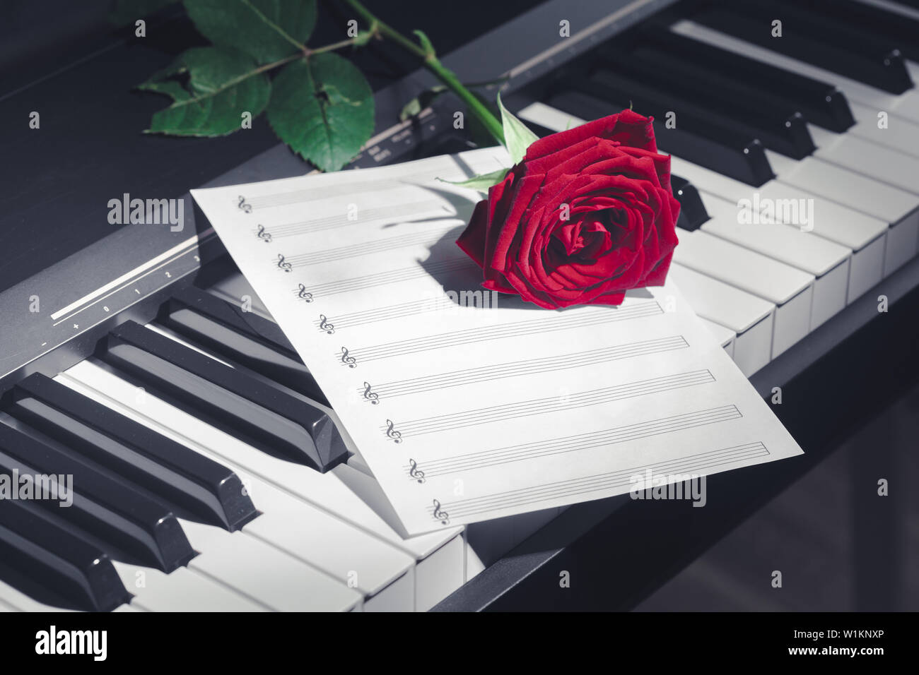 Rose Piano Wallpaper