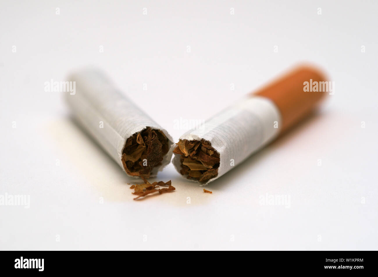 broken cigarette on white background Stock Photo