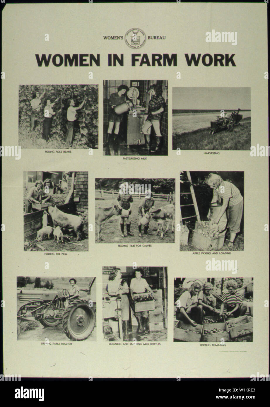 WOMEN IN FARM WORK Stock Photo