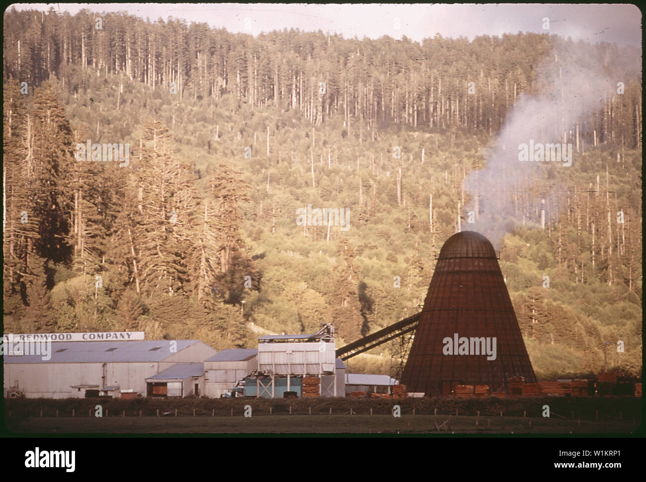Redwood processing plant hi-res stock photography and images - Alamy