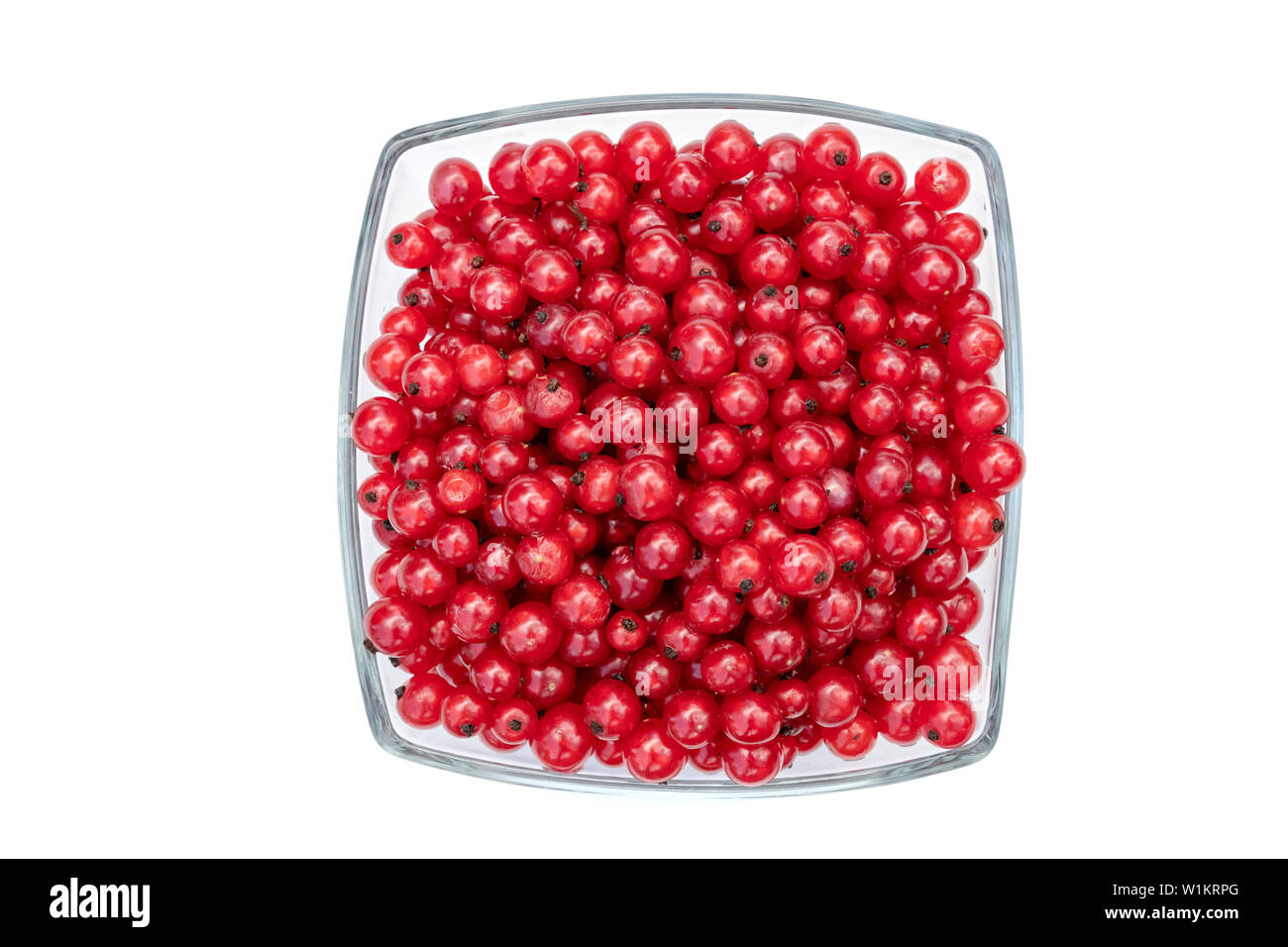 Description: Redcurrants in glass bowl isolated on white background Stock Photo