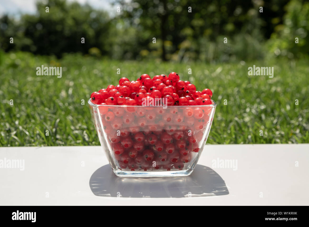Description: Summer harvest table with red currants in glasses on a white wooden table with grass on the background Stock Photo