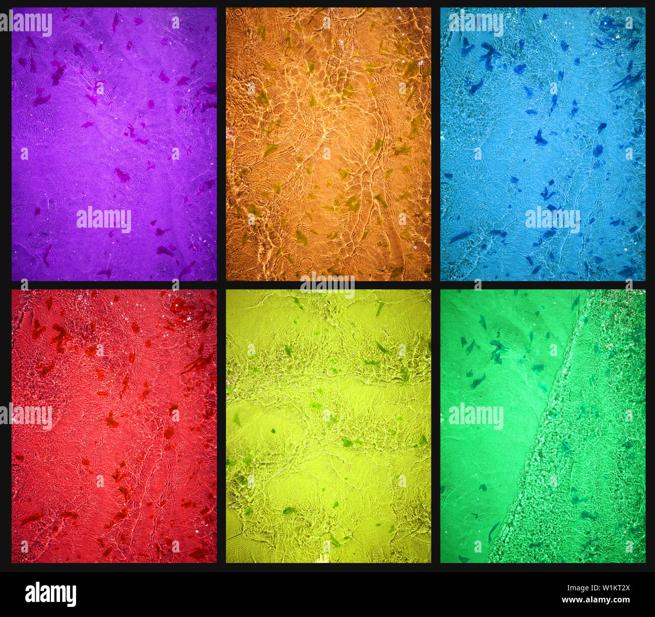 Multicolored collage of sea water with floating algae and seaweeds ...