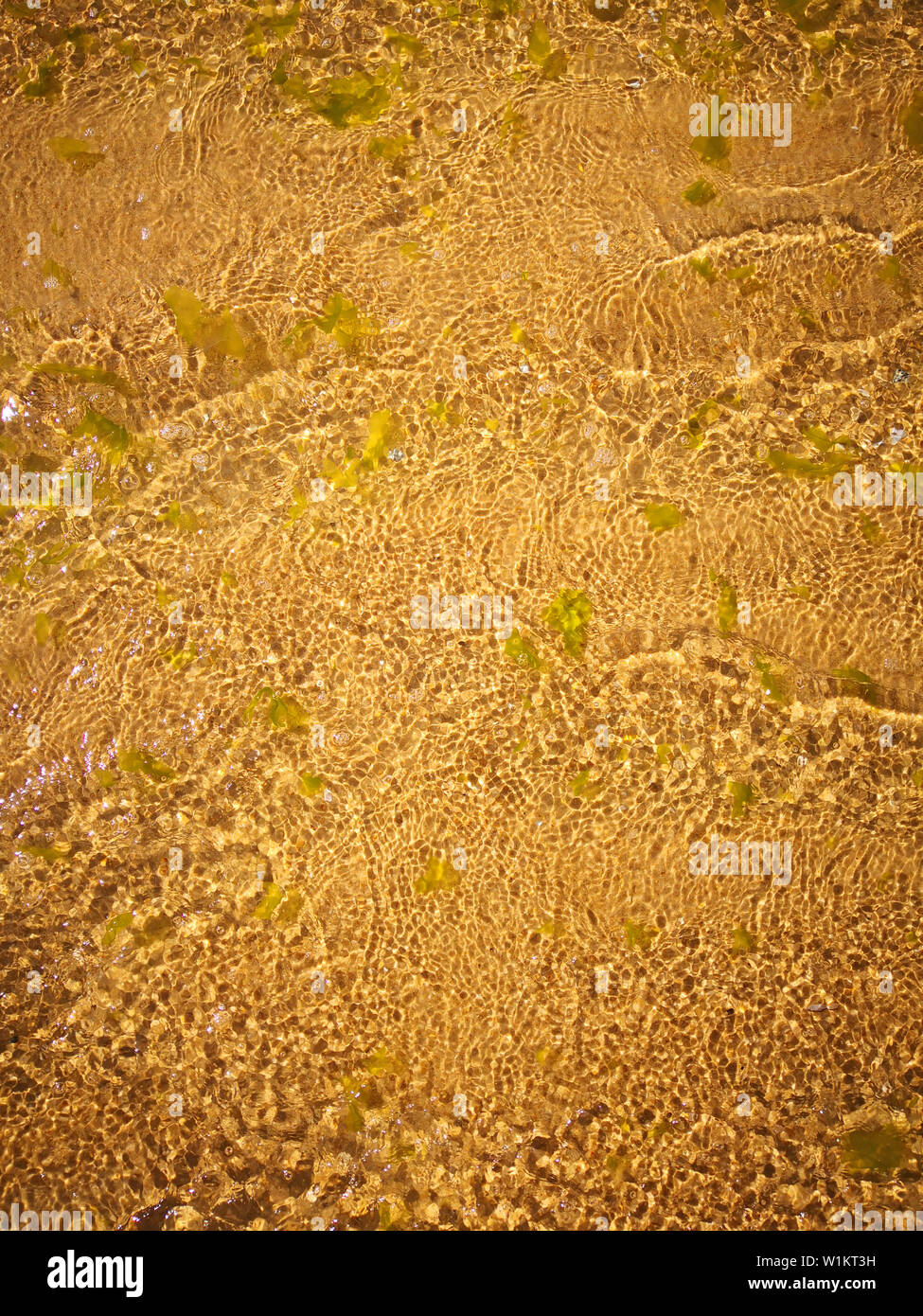 Clear sea water with waves and sea weeds, golden sand, summer, Spain Stock Photo