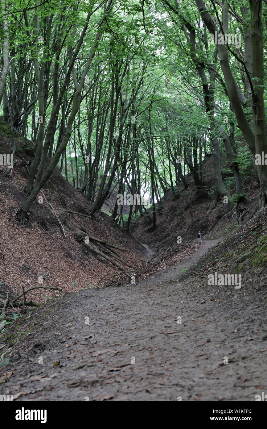 canion-lisi-jar-is-landscape-park-located-between-rozewie-and