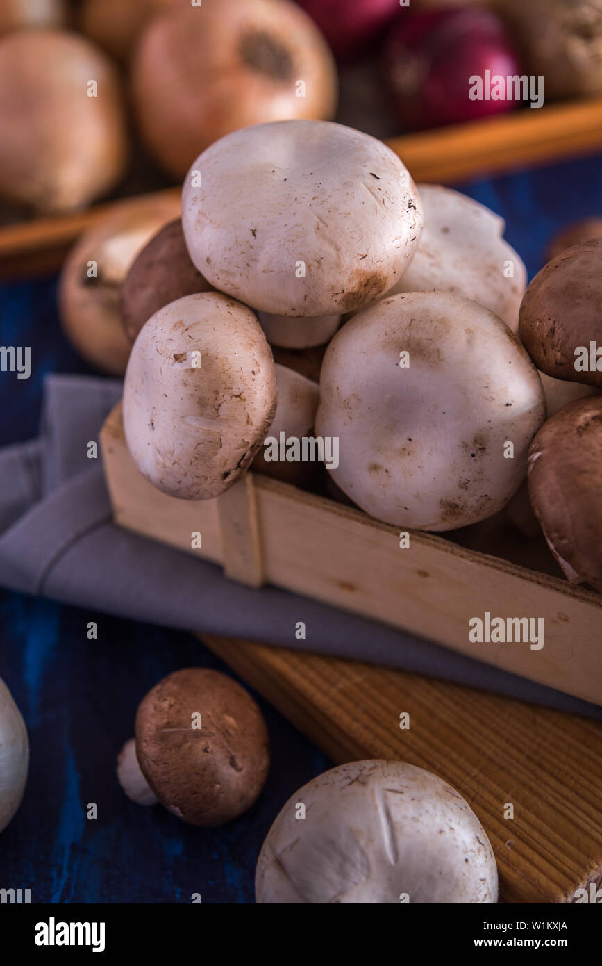 Mushrooms texture hi-res stock photography and images - Alamy