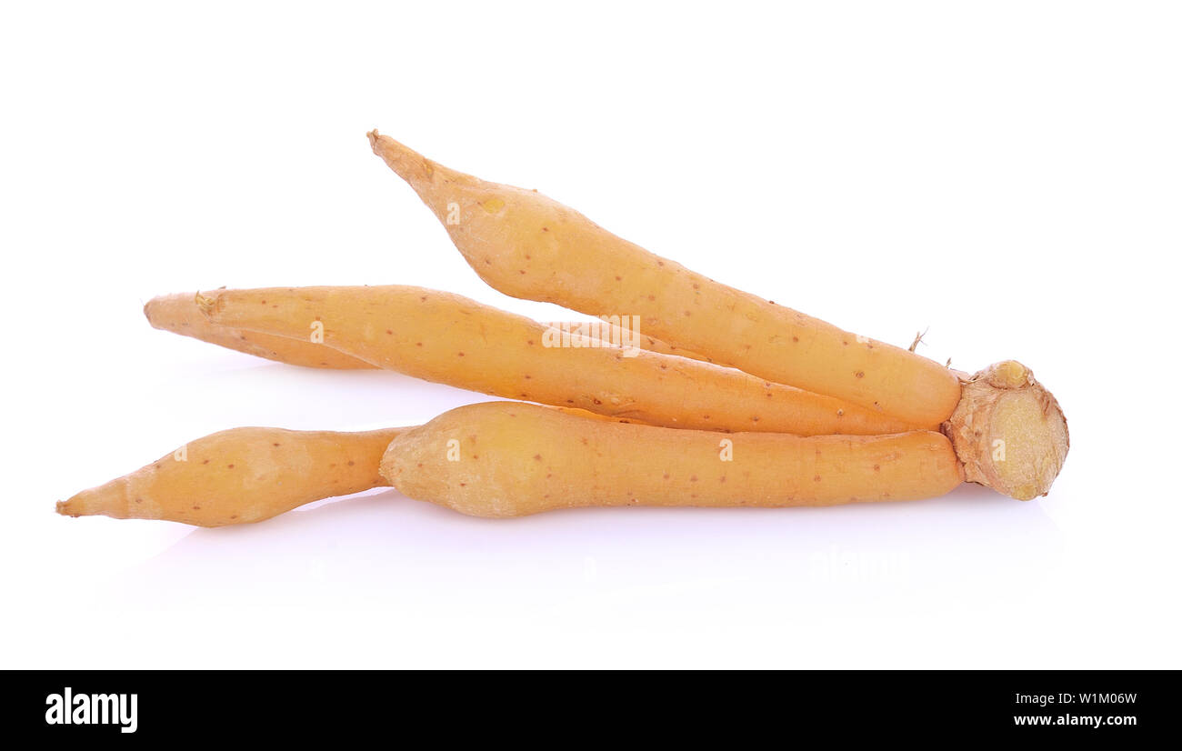 Fingerroot with on white background Stock Photo - Alamy