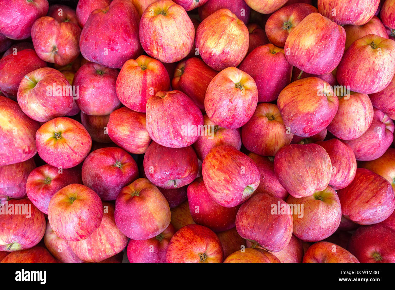 Crop of many fresh red yellow apples on market Stock Photo