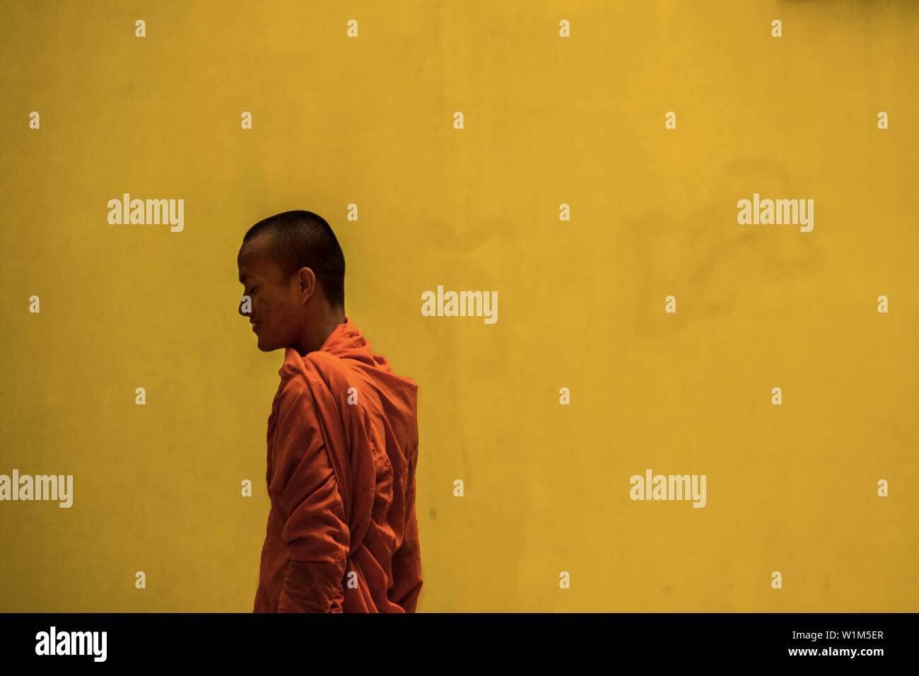 people wear portrait one adult Stock Photo Alamy