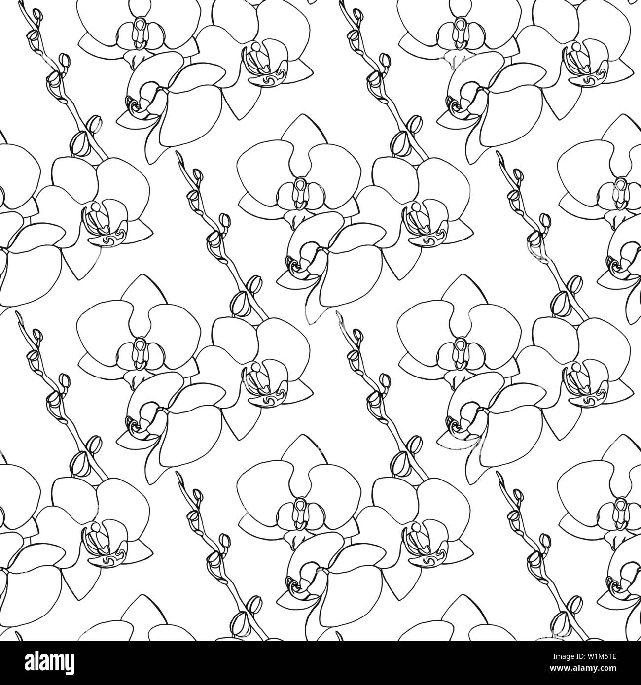 Flower plant orchid backdrop Black and White Stock Photos & Images - Alamy