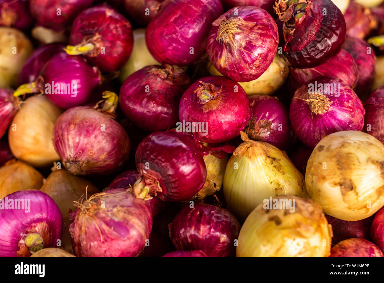 Raw onion skins hires stock photography and images Alamy