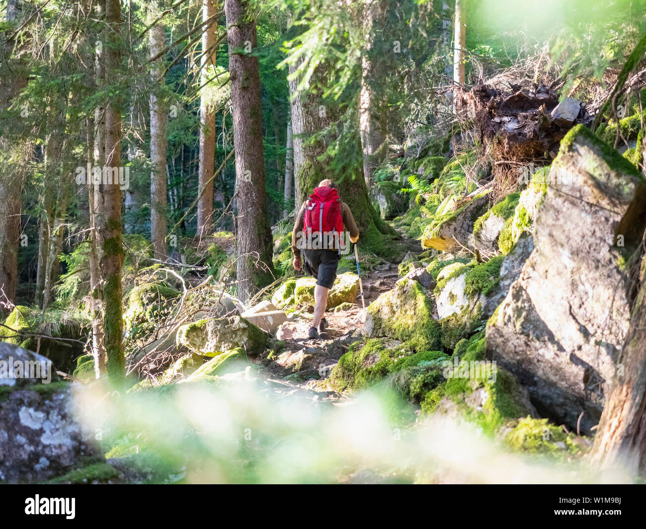 Hiking in black forest hi-res stock photography and images - Alamy