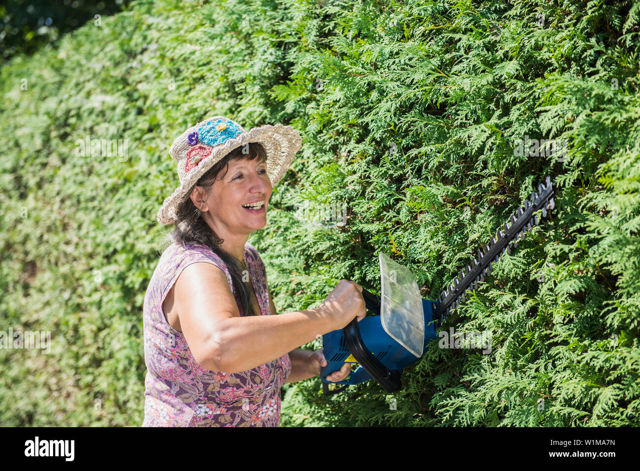 Senior woman cutting hedge hi-res stock photography and images - Alamy