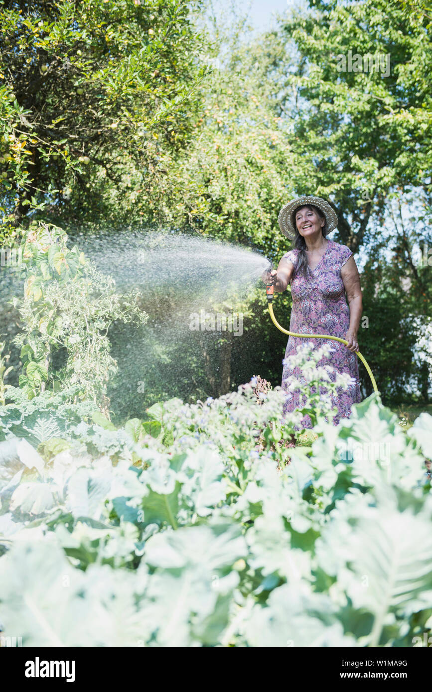Senior woman watering plants in the garden, Altötting, Bavaria, Germany Stock Photo