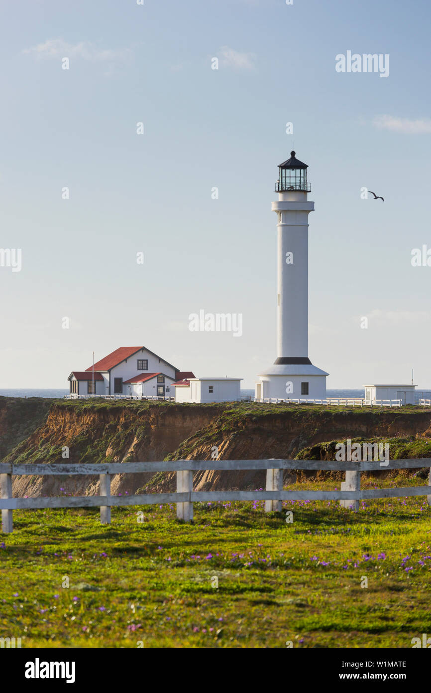 Point Arena Lighthouse and Museum, Arena Rock Marine Natural Preserve, California, United States Stock Photo