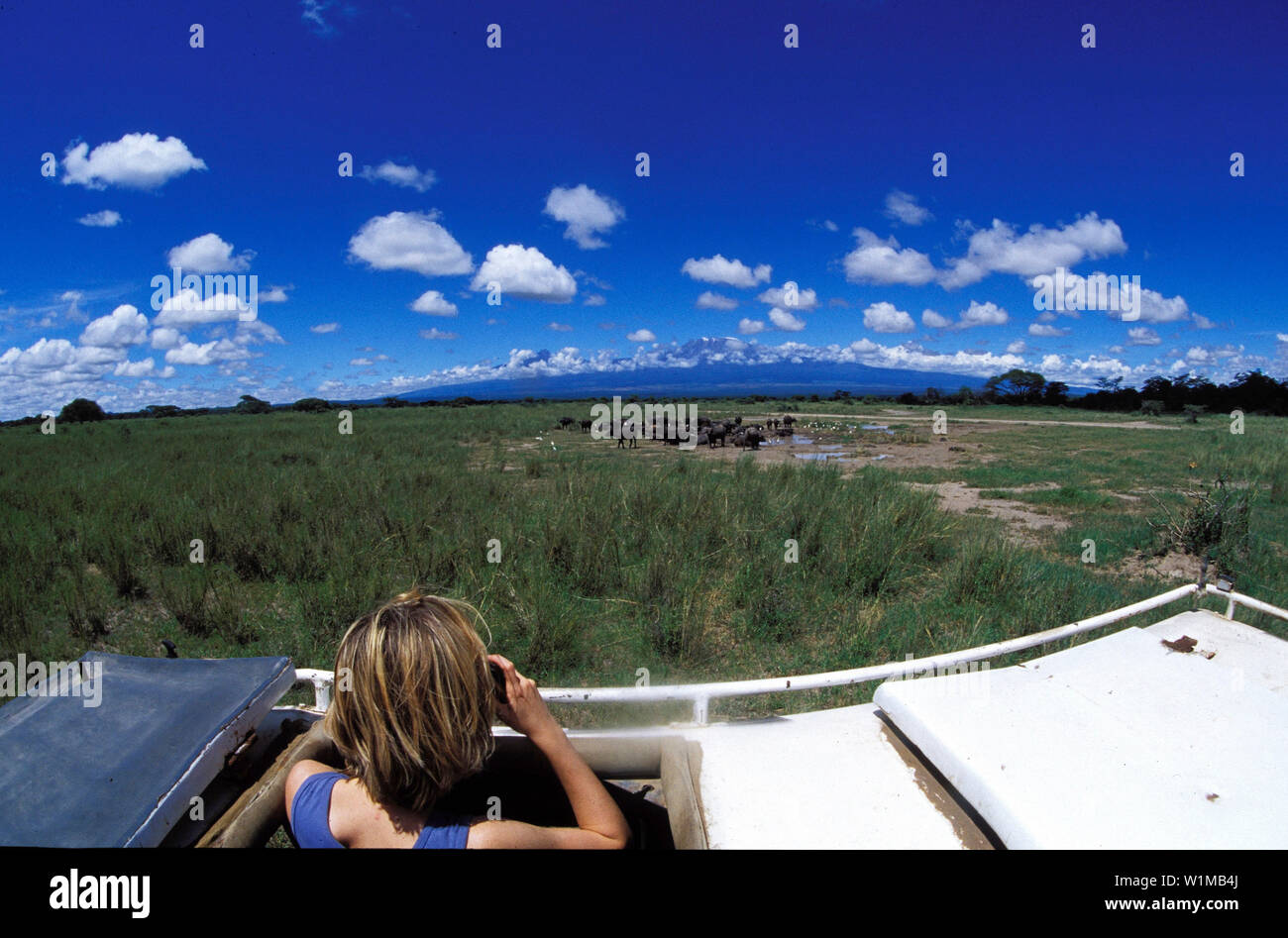 landscape people in jeep Stock Photo