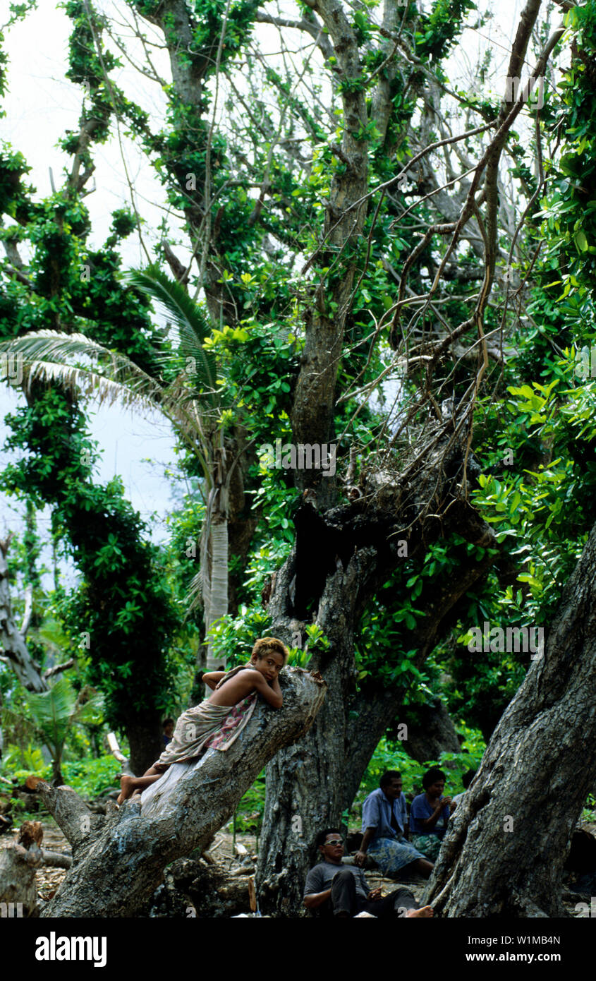 Temotu hires stock photography and images Alamy