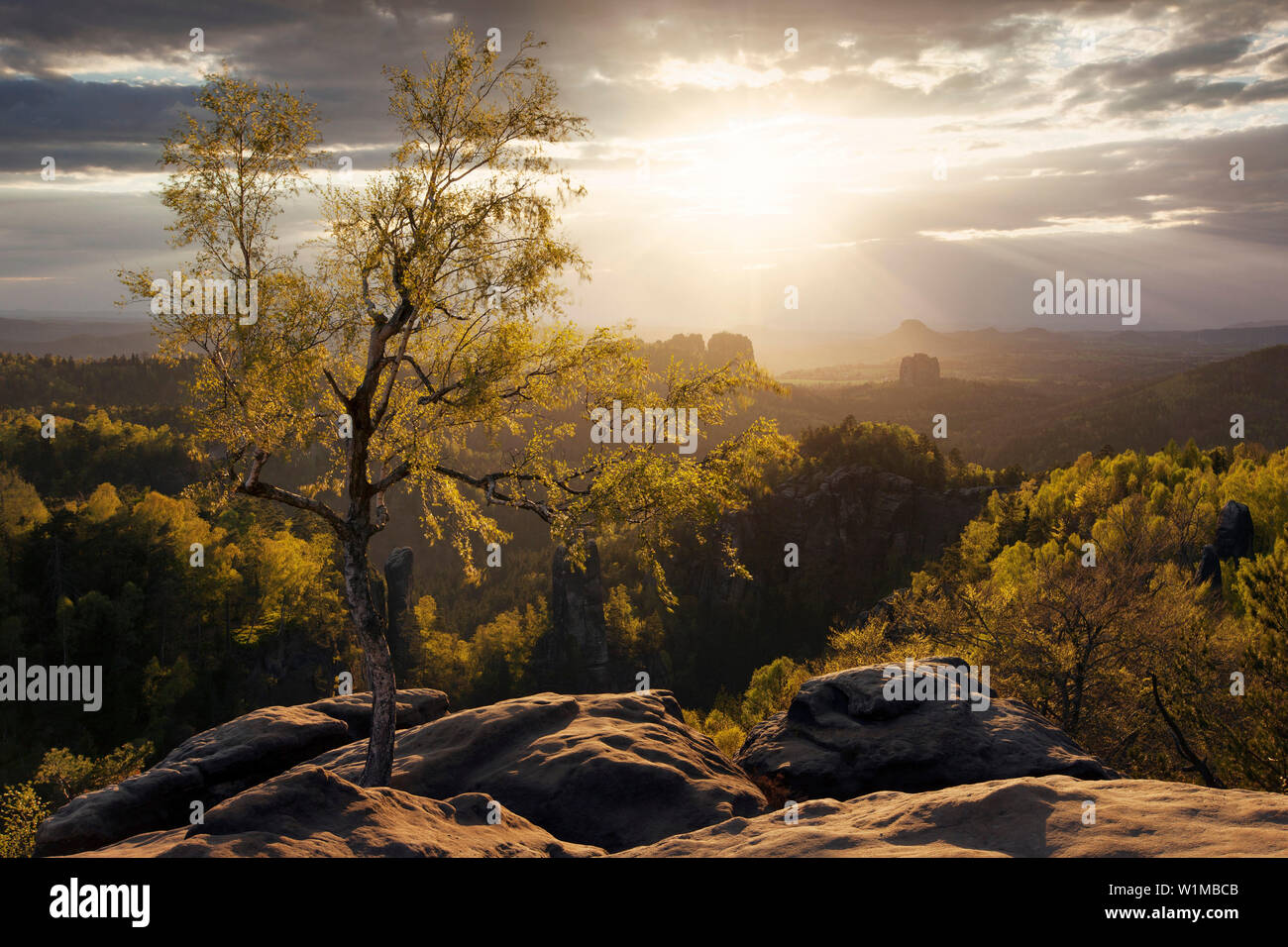 View from the Carolafelsen in spring with a spectacular sunset and the first green leaves on the trees, Elbe Sandstone Mountains, Saxon Switzerland Na Stock Photo