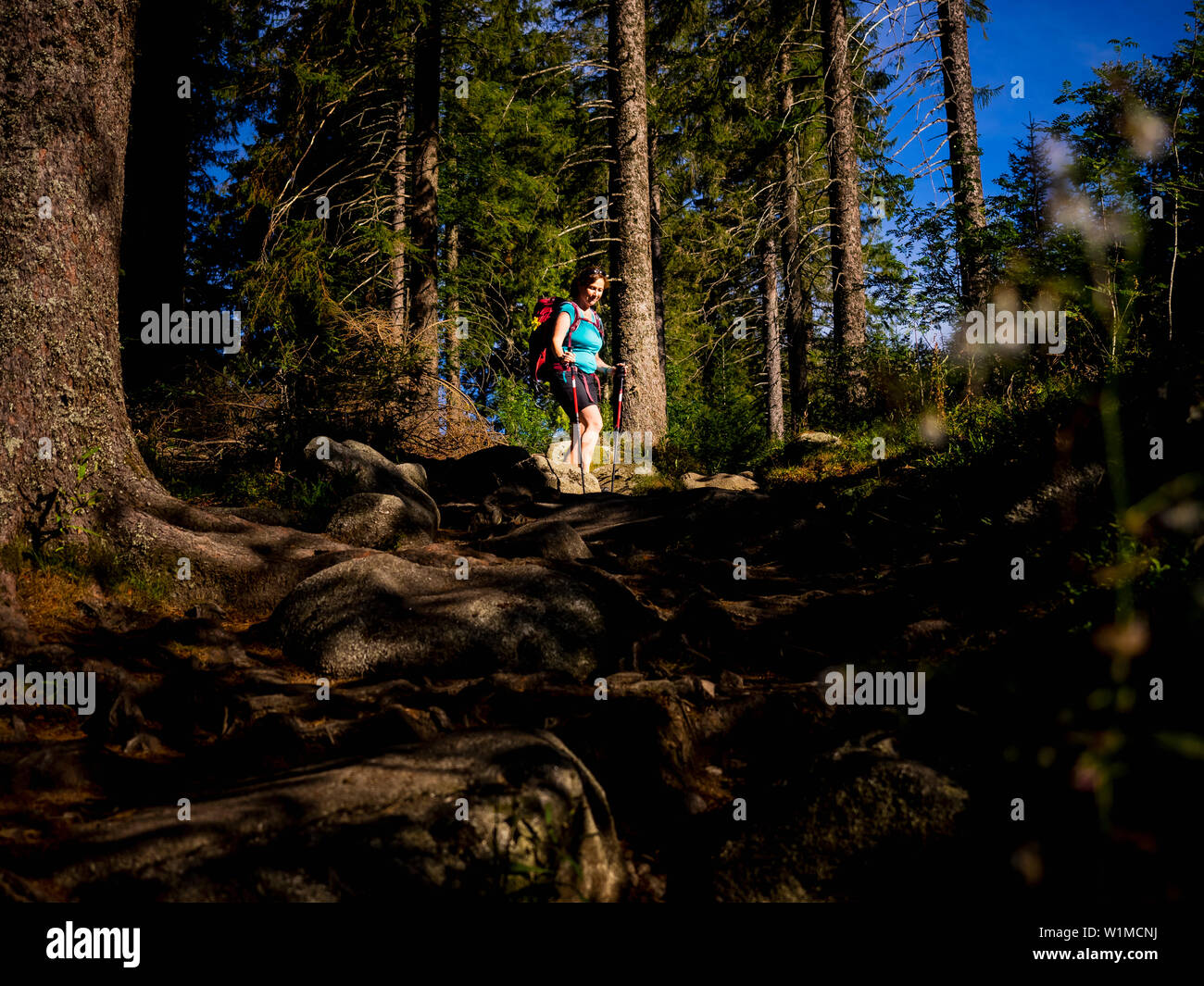 Woman hiking through wood hi-res stock photography and images - Alamy