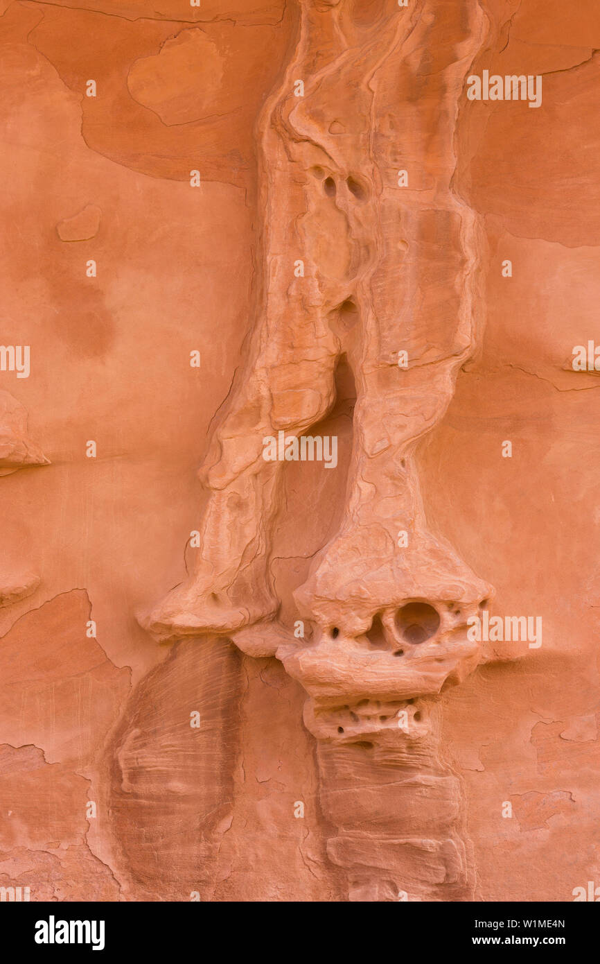 Sandstein Detail, Devils Garden, Arches National Park, Utah, USA Stock ...