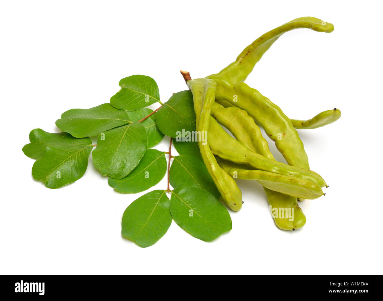 Green Carob pods with leaves. Isolated on white background Stock Photo