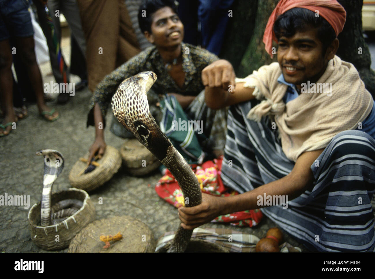 Snake charmers with cobras, Kandy, Sri Lanka Asia Stock Photo