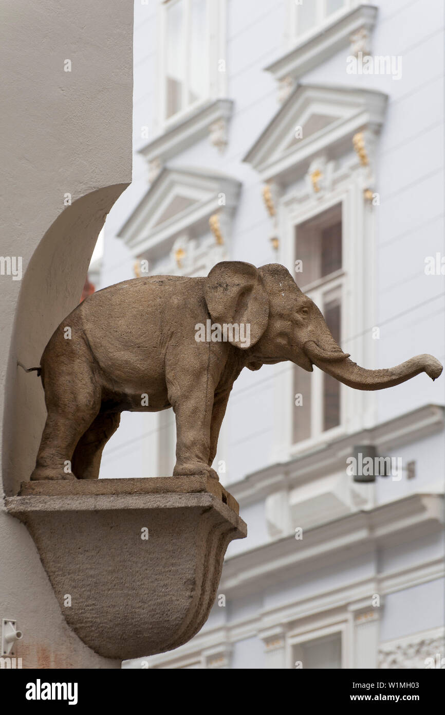 Elefant an Hauseck, Neue-Welt-Gasse, UNESCO Welterbestaette Stadt Graz – Historisches Zentrum, Steiermark, oesterreich Stock Photo