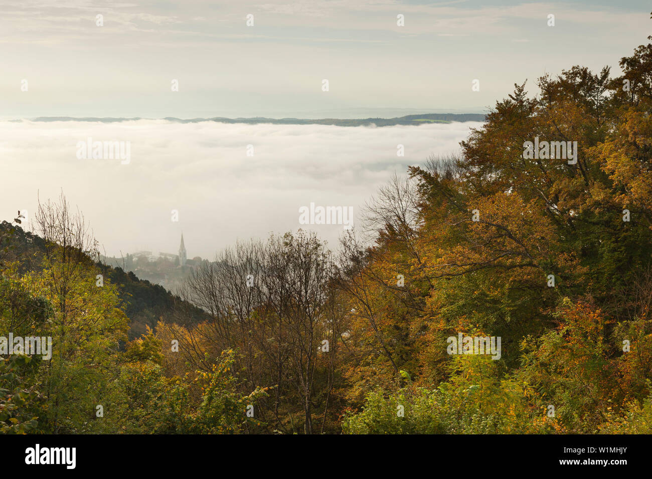 Mist at Lake Constance, view to Sipplingen, Lake Constance, Baden-Wuerttemberg, Germany Stock Photo