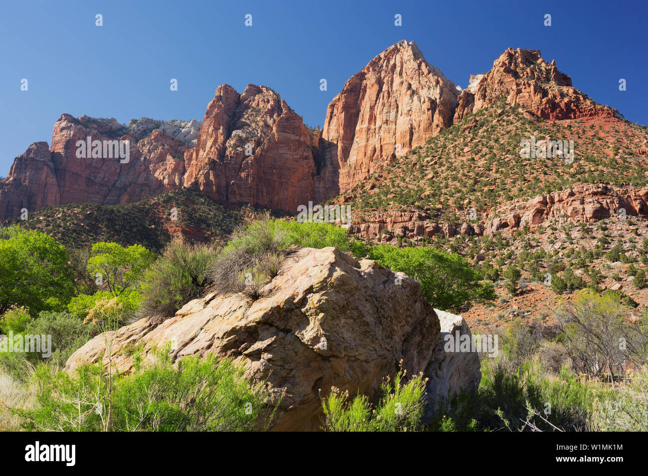 Towers of the Virgin, Zion National Park, Utah, USA Stock Photo Alamy
