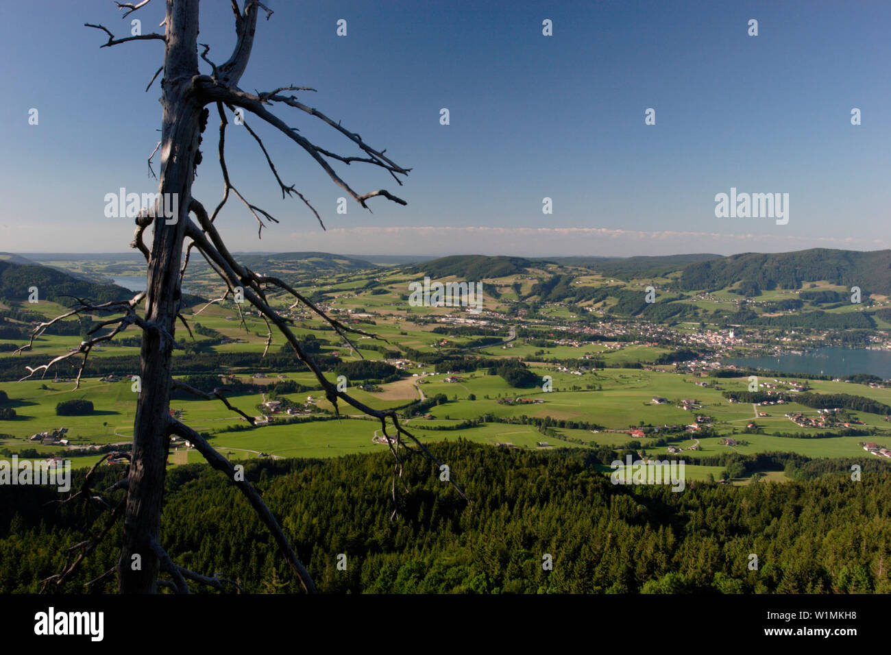 View over Salzburg land from Wartenfels ruins, near Fuschl am See, Salzburg, Austria Stock Photo