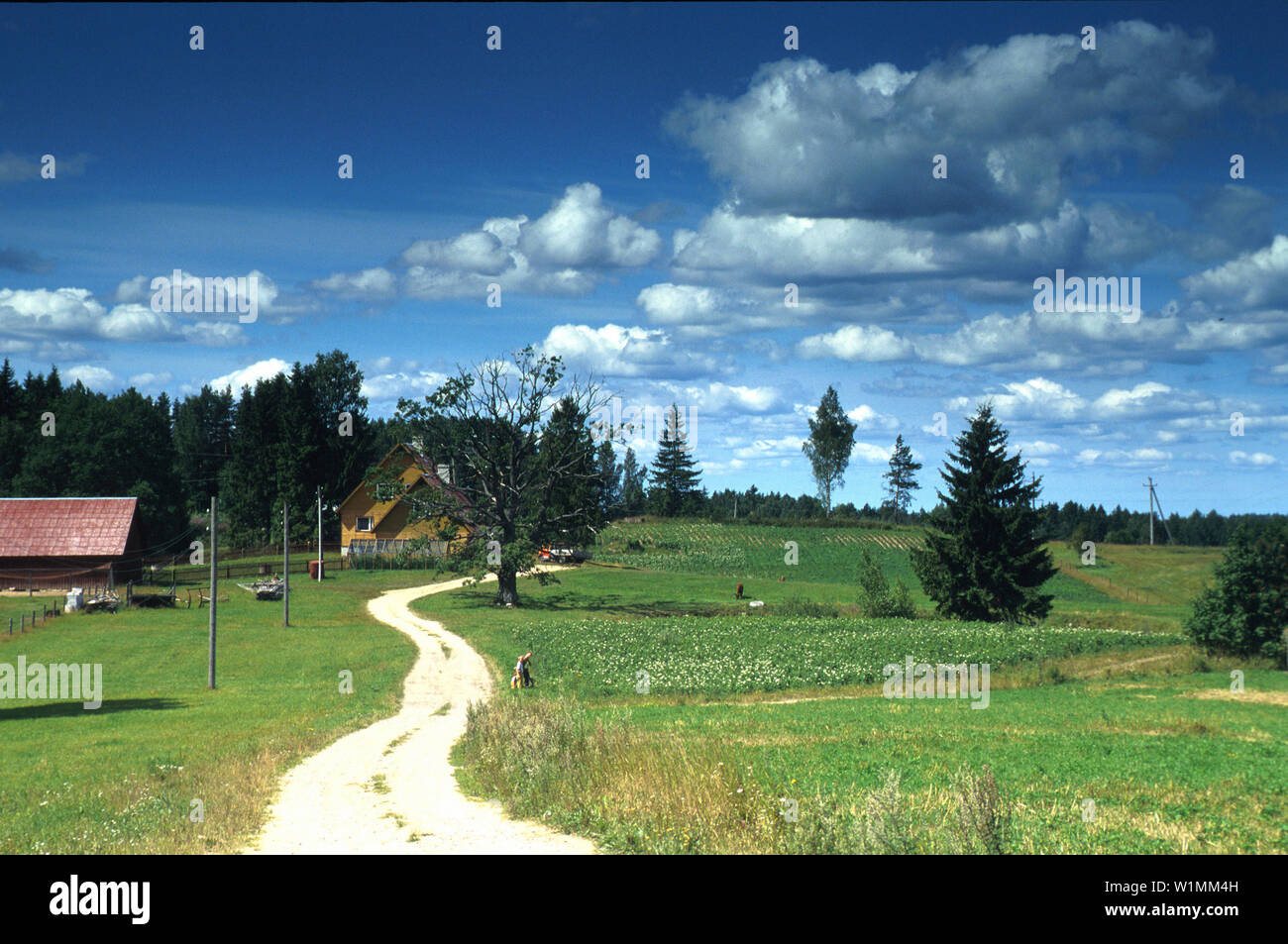 überland in Estland/Baltische Staaten Stock Photo