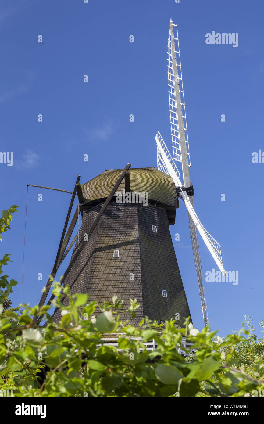 Windmill Rudkøbing on the island Langeland, Danish South Sea Islands, Southern Denmark, Denmark, Scandinavia, Northern Europe Stock Photo