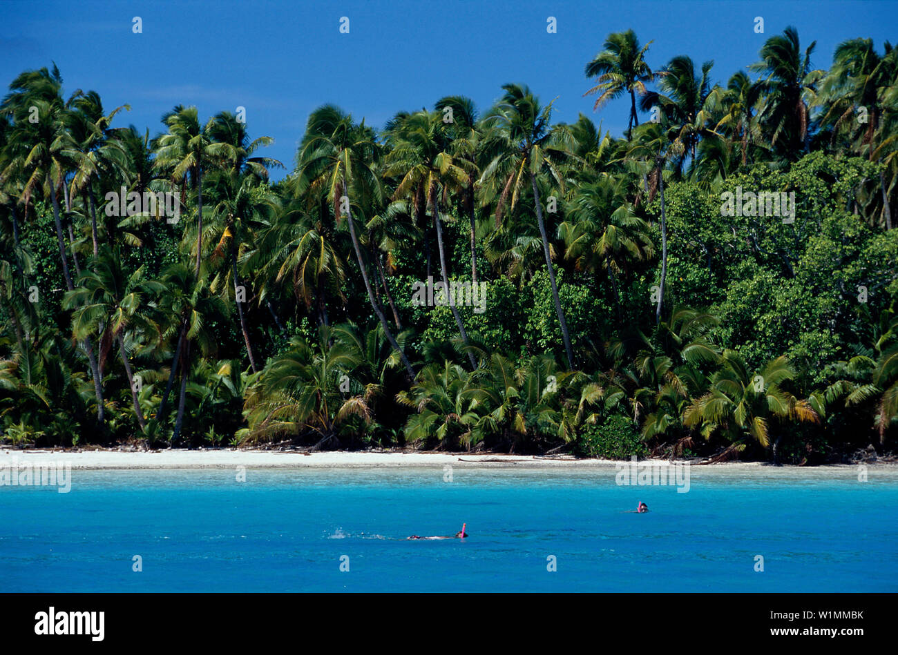 Insel Cook Cook inseln hi-res stock photography and images - Alamy