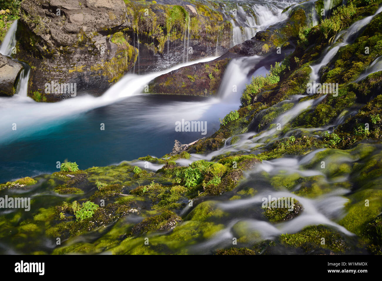 Cascade streams over moss hi-res stock photography and images - Alamy