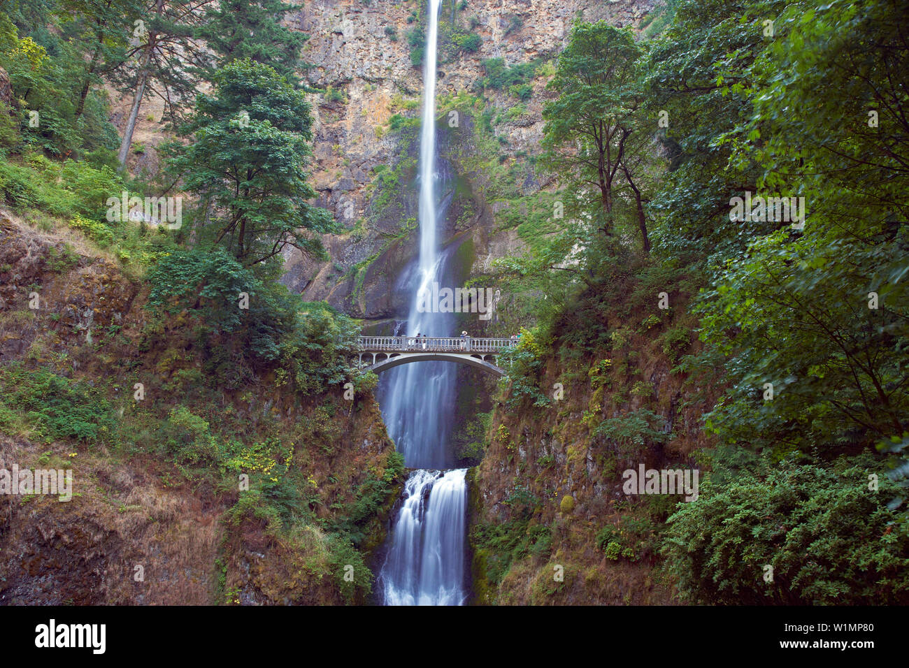 View at the and , Columbia River Gorge , Oregon , U.S.A. , America ...