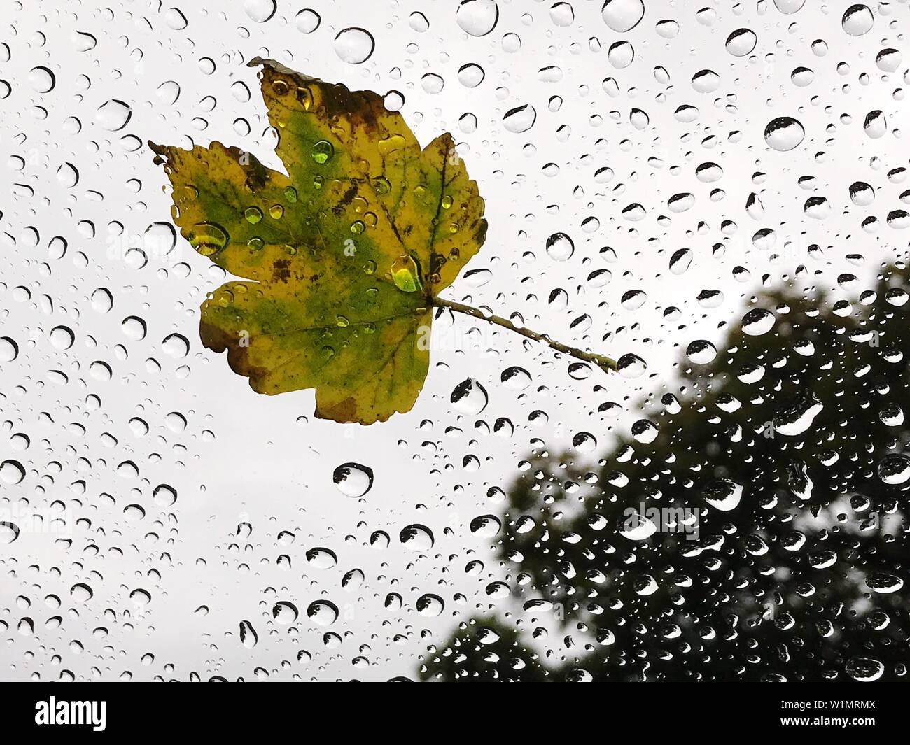 bubble liquid rain splash drop Stock Photo Alamy