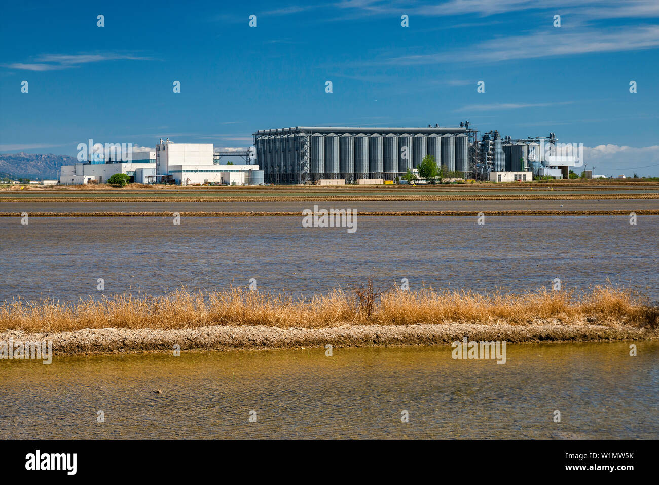 Grain elevator, paddy field for growing rice in delta of Rio Ebro, near Deltebre, Catalonia, Spain Stock Photo