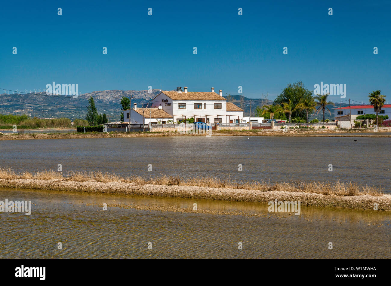 Paddy field for growing rice, residential house in distance, in delta of Rio Ebro, near Deltebre, Catalonia, Spain Stock Photo