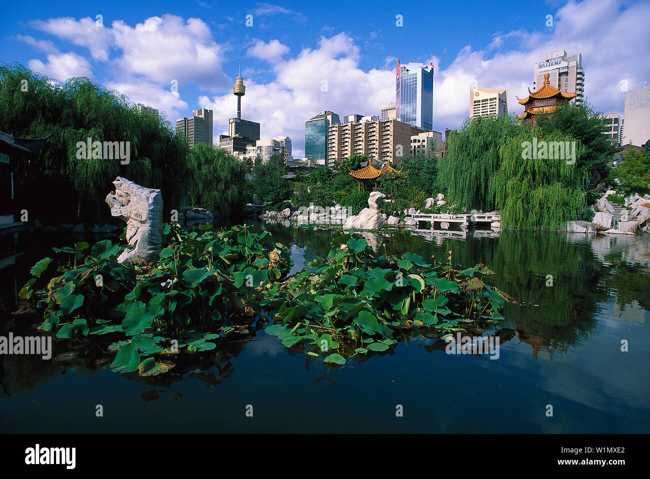 Chinesischer Garten, Sydney , NSW Australien Stock Photo Alamy