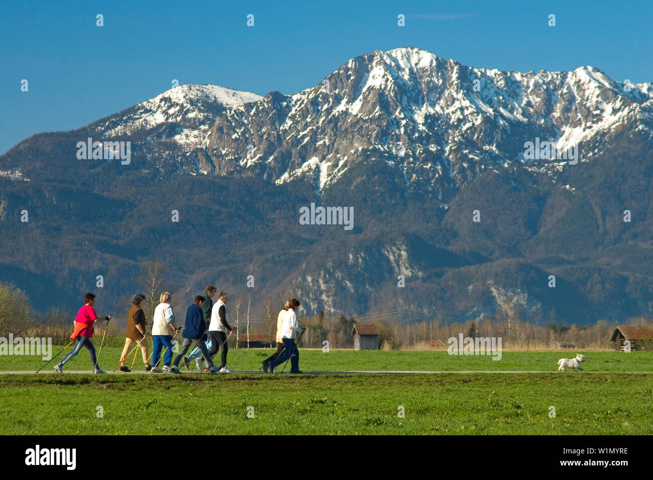 Nordic Walking in Upper Bavaria, Germany, Nordic Walking im Alpenvorland, Oberbayern, Deutschland Nordic Walking in Upper Bavaria Stock Photo