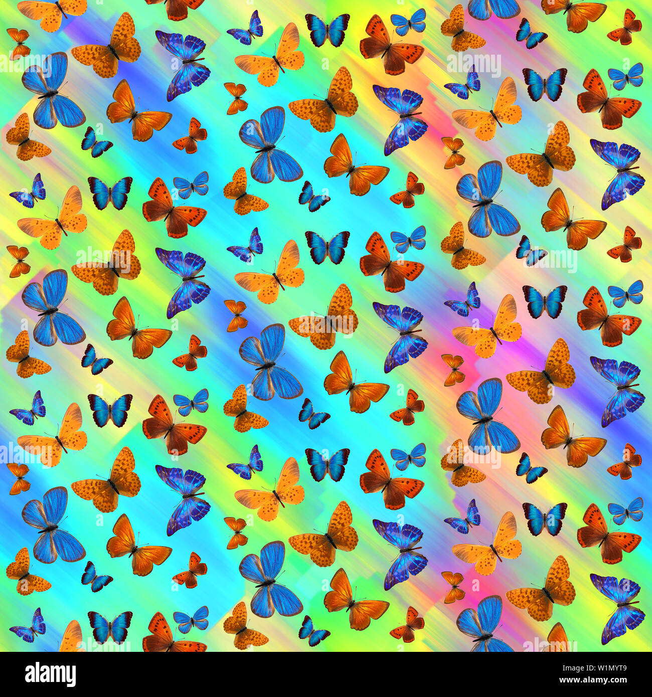seamless pattern of colored tropical butterflies on bright color background  Stock Photo - Alamy