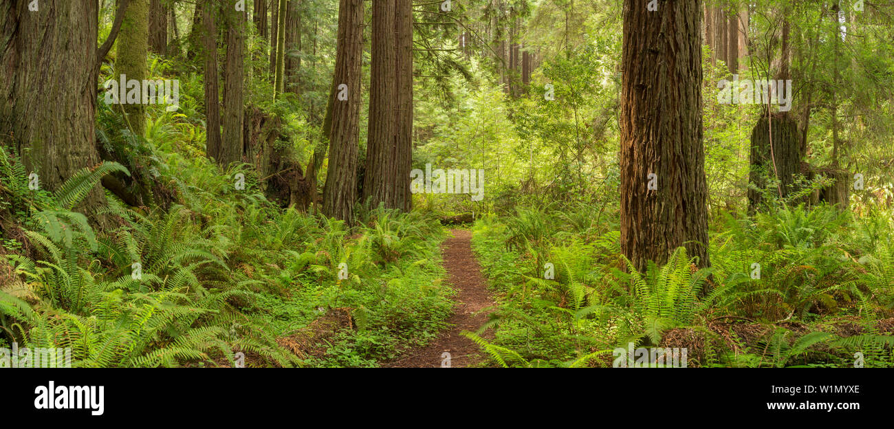 Stillwater Cove Regional Park High Resolution Stock Photography And Images Alamy